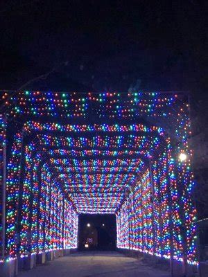 Encounter the Captivating Beauty of Lights in Northeast Ohio